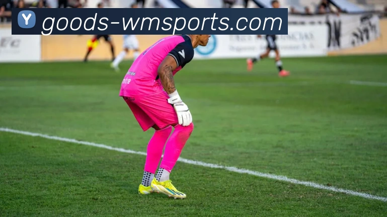 App Interface Preview