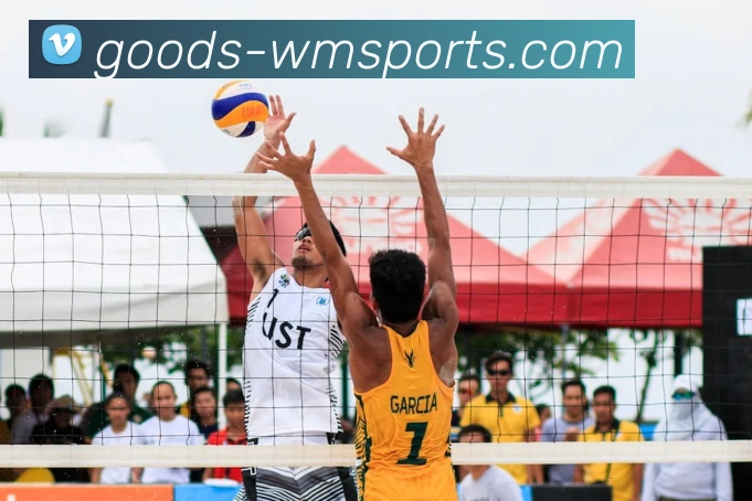 完美体育官网APP 封面图